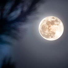 Load image into Gallery viewer, Almanac Yarn Club