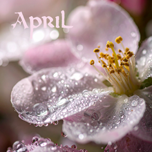 Load image into Gallery viewer, Almanac Yarn Club