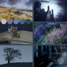 Load image into Gallery viewer, Wuthering Heights ~ Autumn Yarn and Book Box