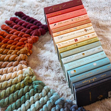 Load image into Gallery viewer, Bookish Mini Skein Fade