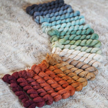 Load image into Gallery viewer, Bookish Mini Skein Fade