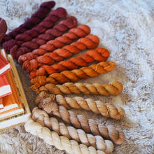 Load image into Gallery viewer, Bookish Mini Skein Fade