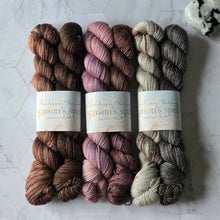 Load image into Gallery viewer, Season's Spell ~ October to December Yarn Set