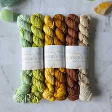 Load image into Gallery viewer, Season's Spell ~ July to September Yarn Set