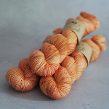 Load image into Gallery viewer, Carpe Diem - Bardot - Twist Sock