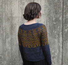 Load image into Gallery viewer, Baroque Nouveau Yarn Kit - Audrey Classic Sock