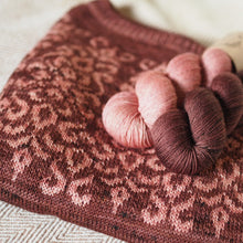 Load image into Gallery viewer, Baroque Nouveau Yarn Kit - Audrey Classic Sock