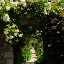 Load image into Gallery viewer, The Secret Garden ~ Spring Yarn and Book Box (In Stock)
