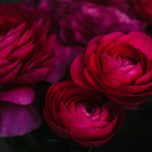 Load image into Gallery viewer, La Vie En Rose - Mini Skein Advent Calendar

