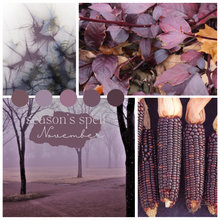 Load image into Gallery viewer, Season&#39;s Spell Yarn Club
