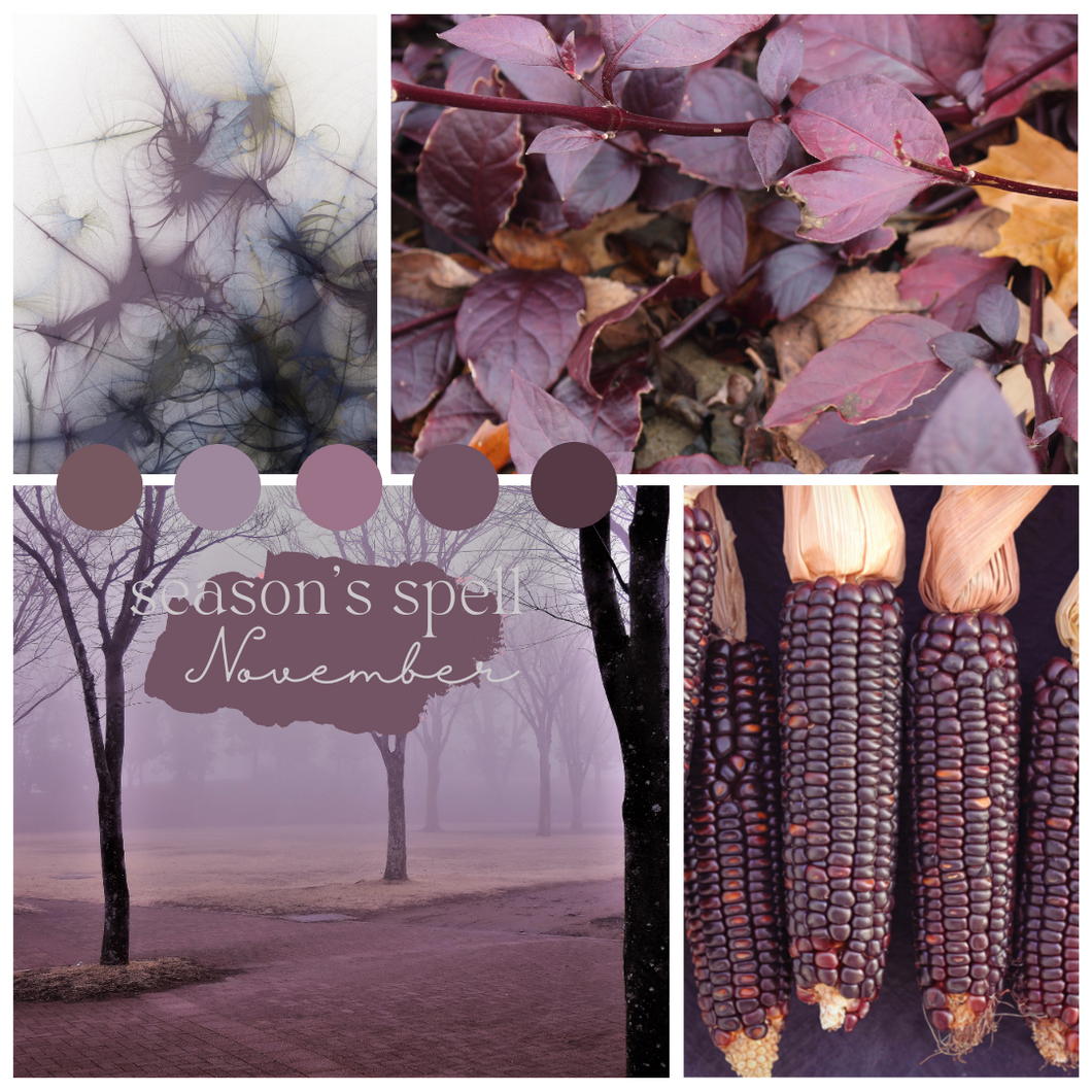 Season's Spell Yarn Club