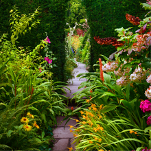 Load image into Gallery viewer, The Secret Garden ~ Spring Yarn and Book Box (In Stock)
