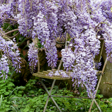 Load image into Gallery viewer, The Secret Garden ~ Spring Yarn and Book Box (In Stock)
