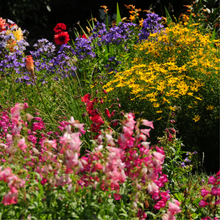 Load image into Gallery viewer, The Secret Garden ~ Spring Yarn and Book Box (In Stock)
