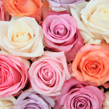 Load image into Gallery viewer, La Vie En Rose - Mini Skein Advent Calendar
