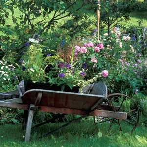 The Secret Garden ~ Spring Yarn and Book Box (In Stock)