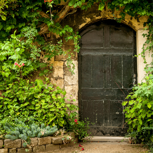 The Secret Garden ~ Spring Yarn and Book Box (In Stock)
