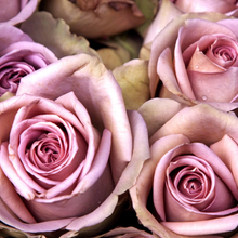 Load image into Gallery viewer, La Vie En Rose - Mini Skein Advent Calendar
