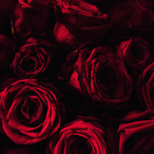Load image into Gallery viewer, La Vie En Rose - Weekly Advent (4 x 100g skeins)
