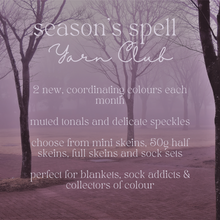 Load image into Gallery viewer, Season&#39;s Spell Yarn Club
