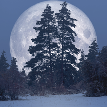 Load image into Gallery viewer, Almanac Yarn Club
