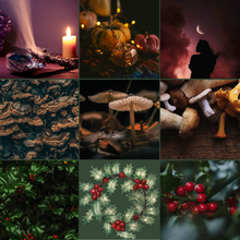 Load image into Gallery viewer, Almanac Yarn Club - quarterly shipment
