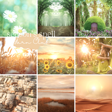 Load image into Gallery viewer, Season's Spell ~ July to September Yarn Set
