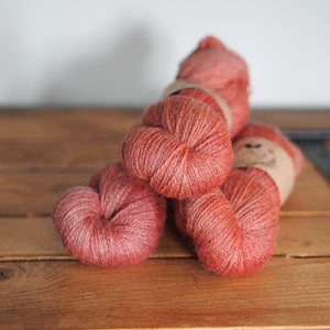 Tea Rose - Folklore  - BFL/Masham