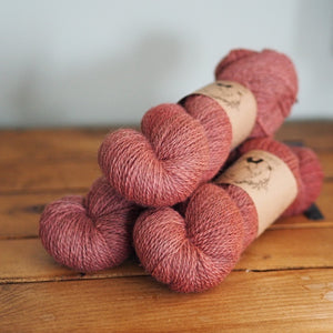 Tea Rose - Folklore  - BFL/Masham