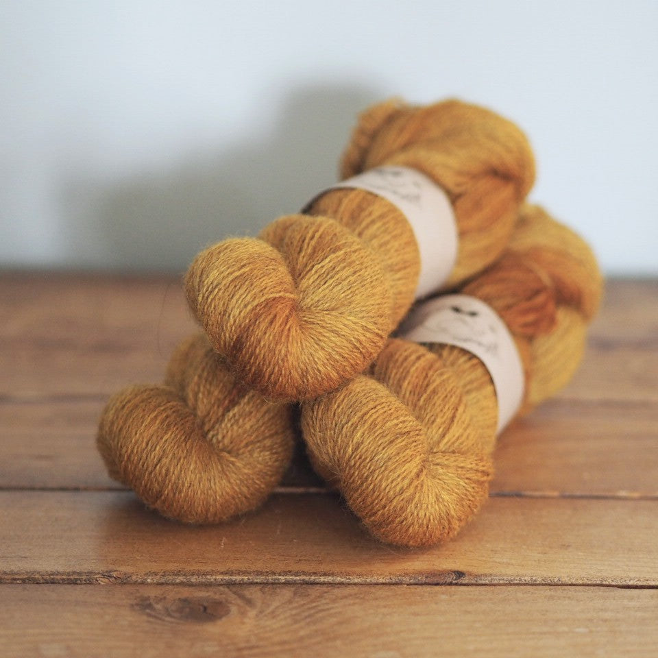 Harvest - Folklore  - BFL/Masham