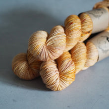 Load image into Gallery viewer, Pumpkin Spice - Darling - DK Sock
