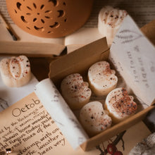 Load image into Gallery viewer, Pumpkin Spice Wax Melts
