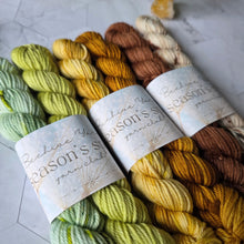 Load image into Gallery viewer, Season's Spell ~ July to September Yarn Set
