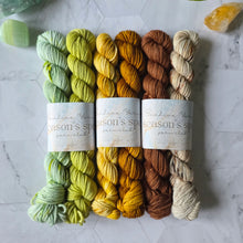 Load image into Gallery viewer, Season's Spell ~ July to September Yarn Set
