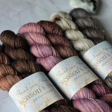 Load image into Gallery viewer, Season's Spell ~ October to December Yarn Set
