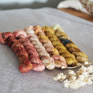Summer Fade (Advent 2022 In-Stock Mini Skeins)
